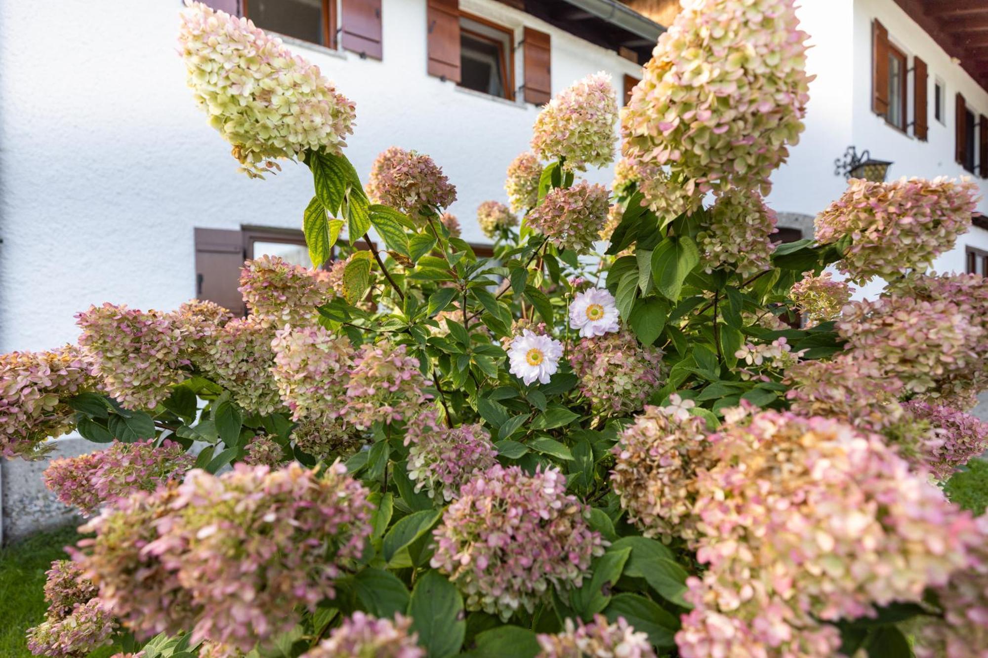Ferienwohnung Alpenglueck Marktschellenberg Zewnętrze zdjęcie