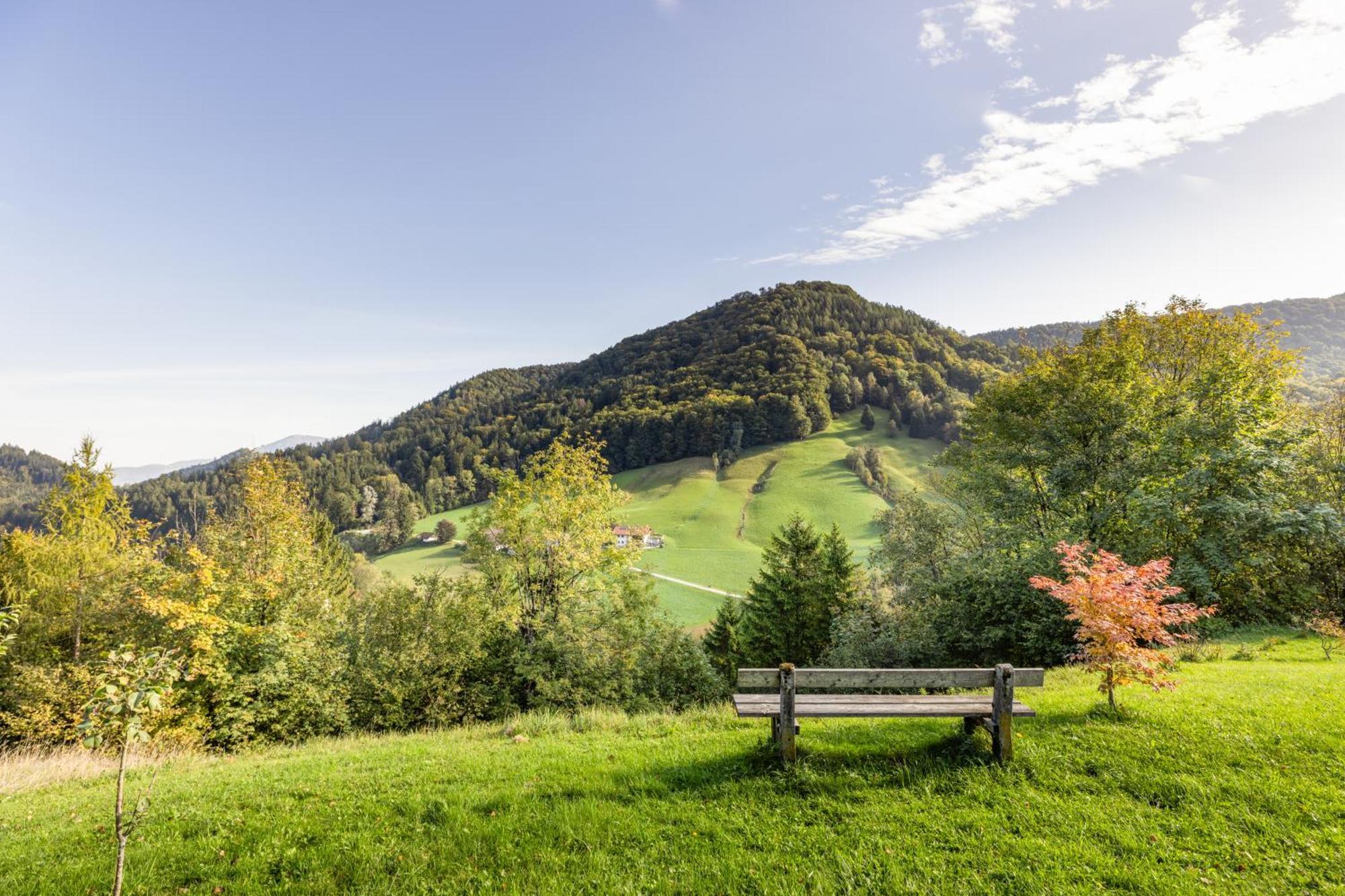 Ferienwohnung Alpenglueck Marktschellenberg Zewnętrze zdjęcie