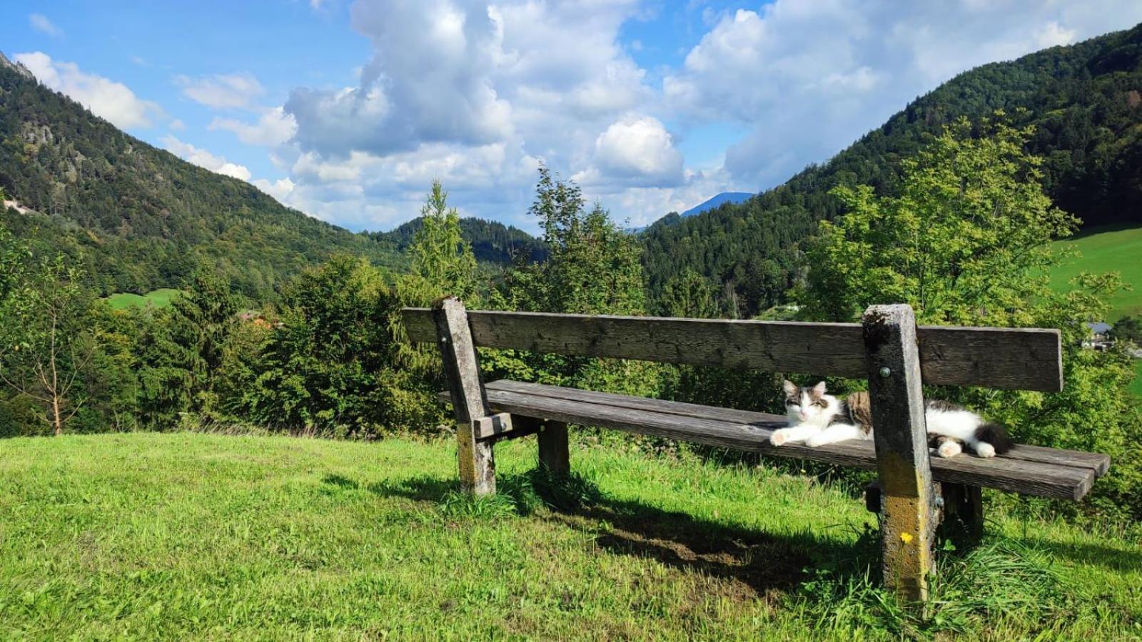 Ferienwohnung Alpenglueck Marktschellenberg Zewnętrze zdjęcie